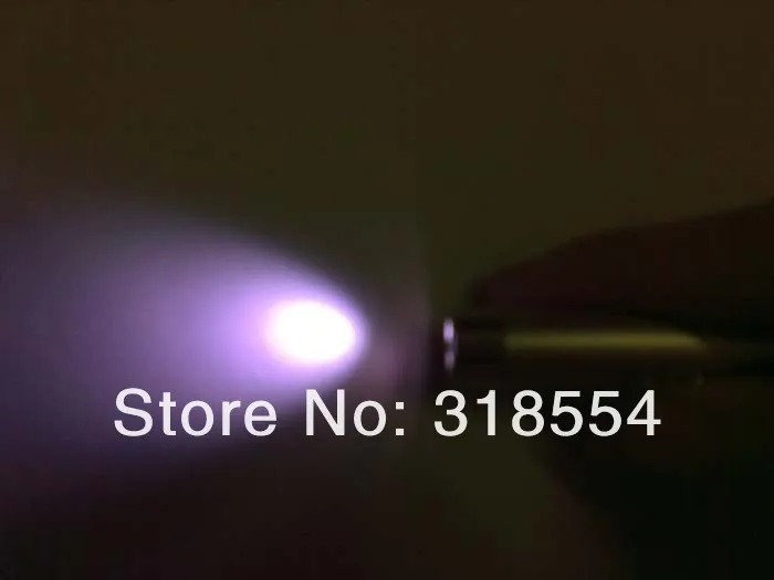  20121129119.JPG