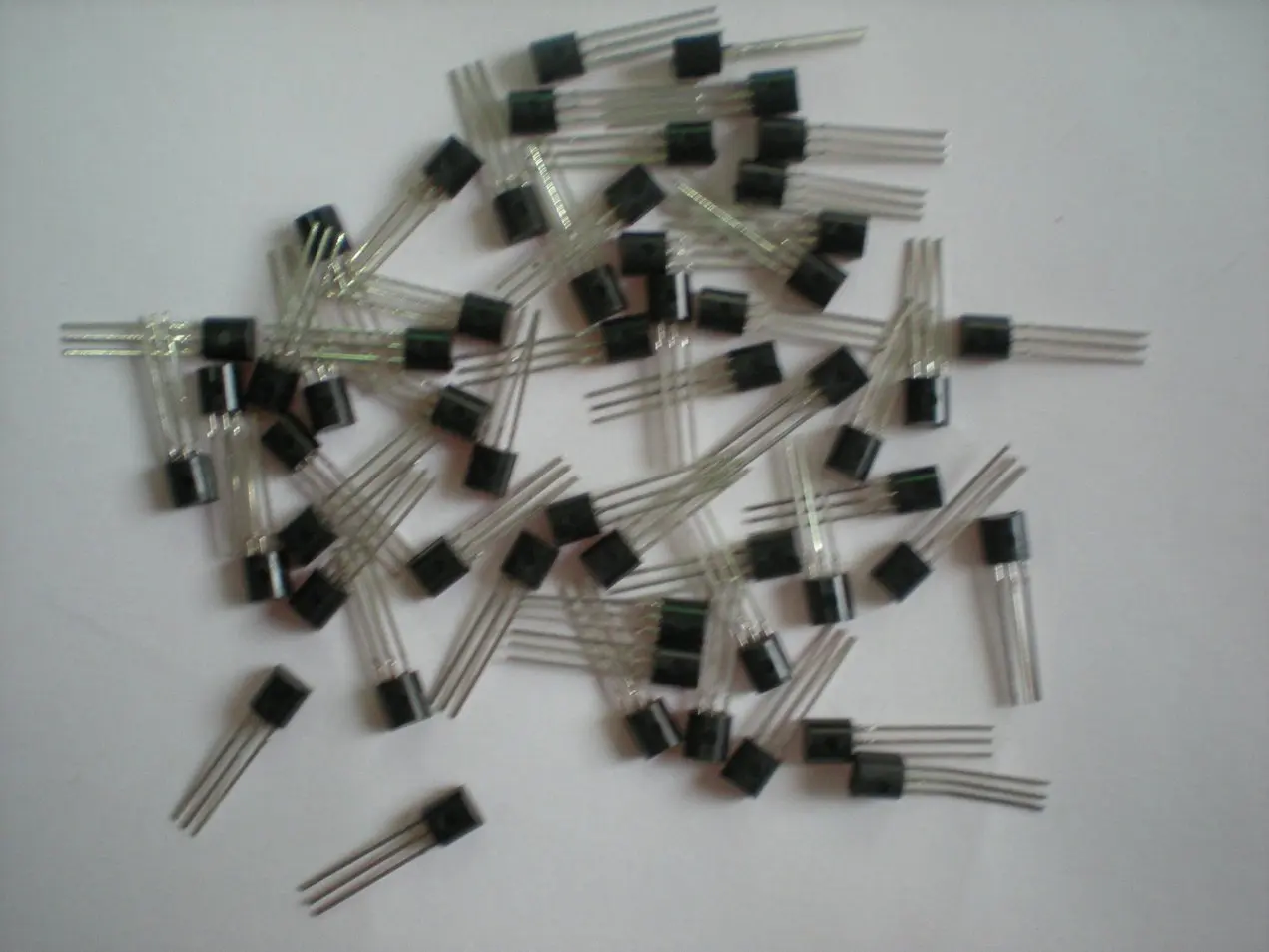 DSCN5145.JPG