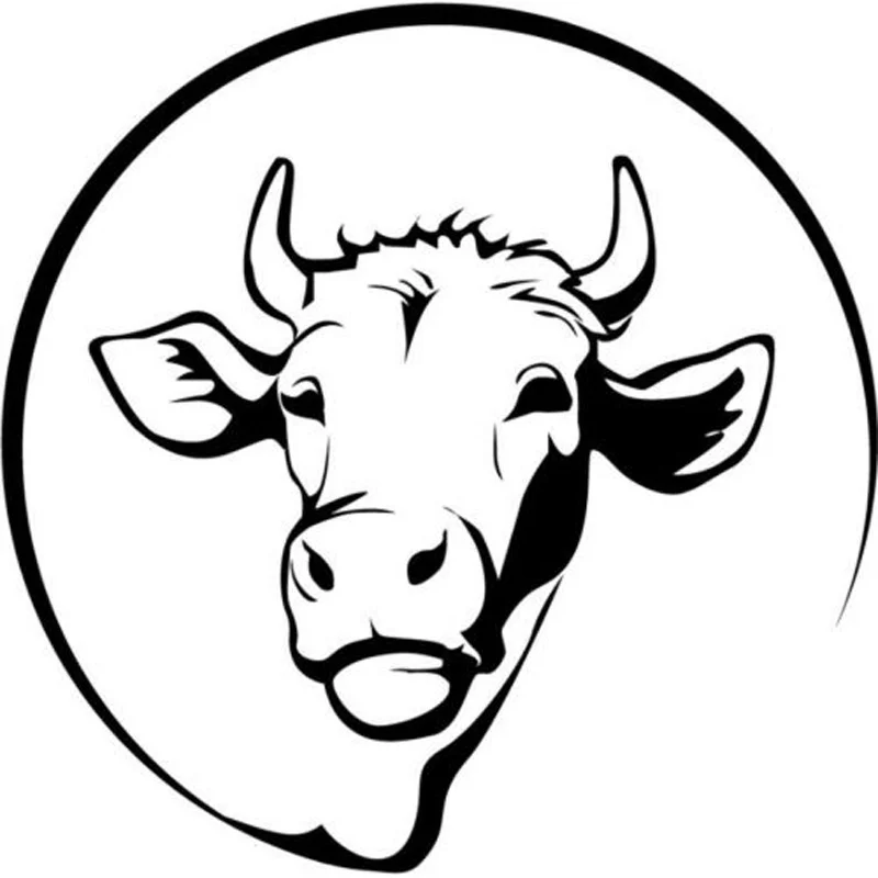 13*13CM Jersey Cow Vinyl Car Window Stickers Car Styling Personality