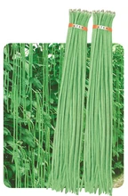 15 seeds/pack Cowpea seeds spring and autumn 1 – 1.2 meters beans seeds vegetable