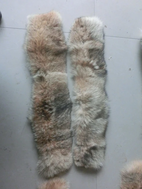 Заводская цена новый продукт Койот меховая кожа для воротника|fur skin|coyote skinskin fur |