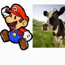 M***a
