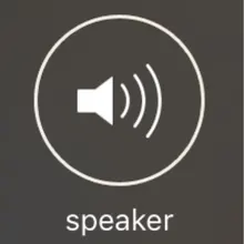 P***.