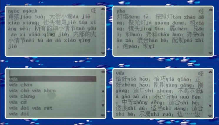 Вьетнамский Английский Китайский двенадцать страна разговор благородный человек издает звук маленький электронный языковой словарь