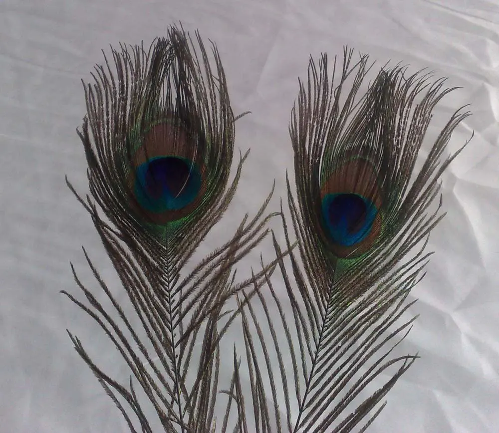 free shipping sweetheart neckline peacock feather prom party dress hot sale  wholesale