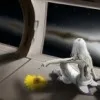 k***k