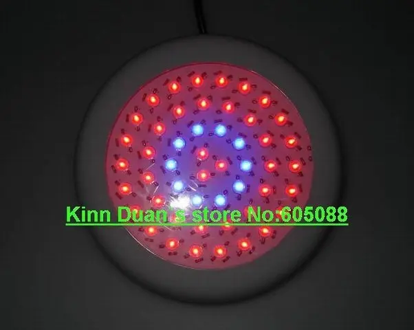  50w grow light