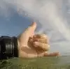 F***s