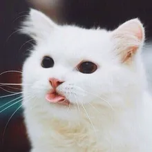 K***a