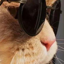 e***a