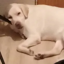 c***c