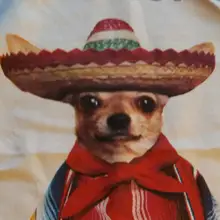 J***z