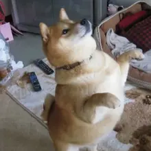 M*** 
