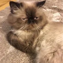 c***g