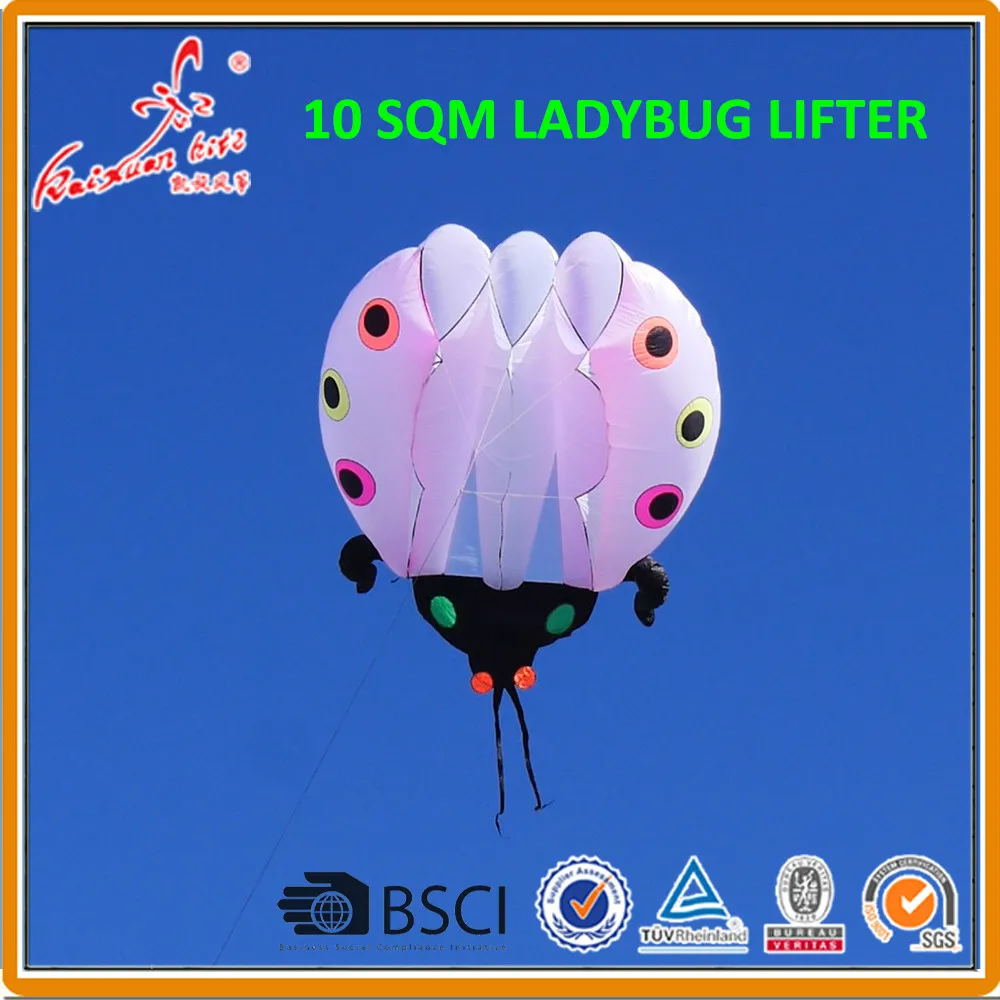 

10 sqm Ladybug Kite, soft kite, show kite, Lifter