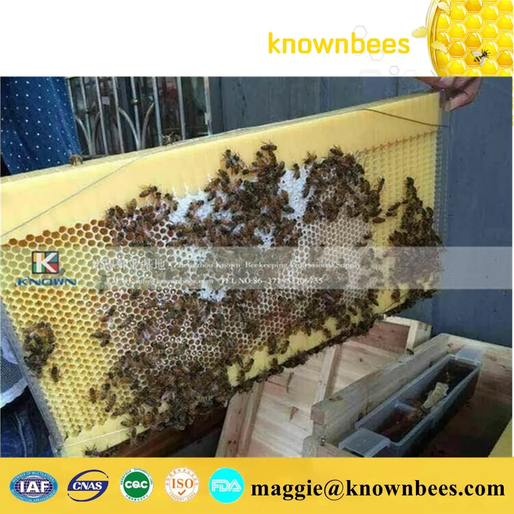 

new design beekeeping tools honey flowing frames