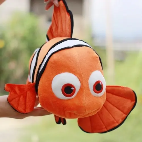 fish teddy