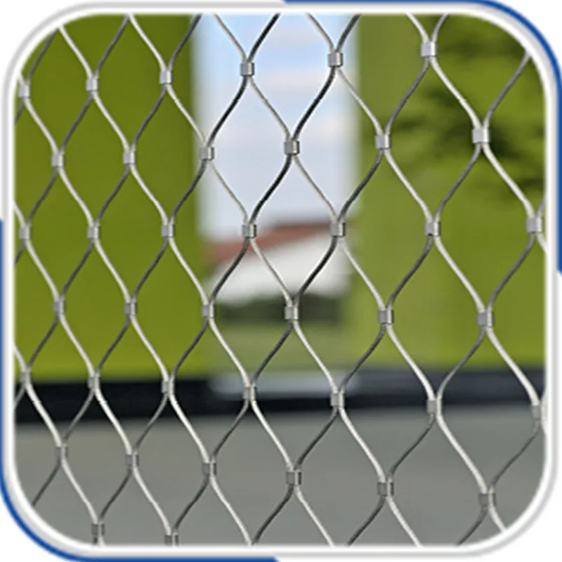 

Customized stainless steel wire rope mesh