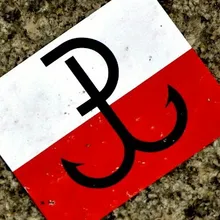 T***i