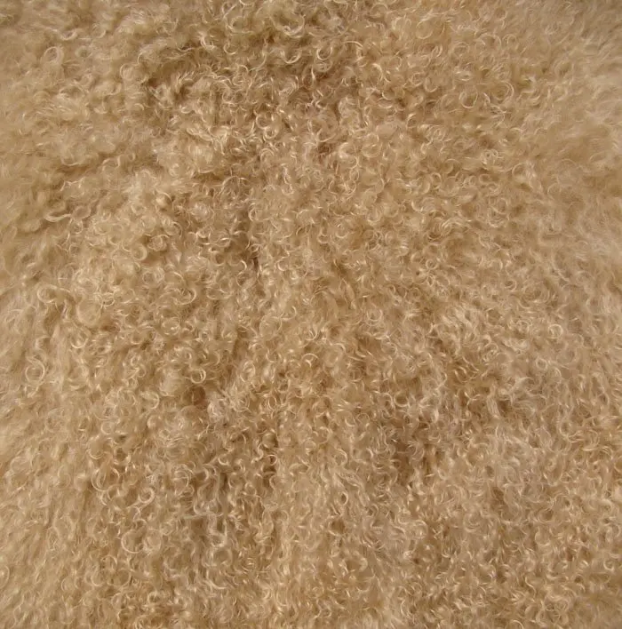 DSC04941