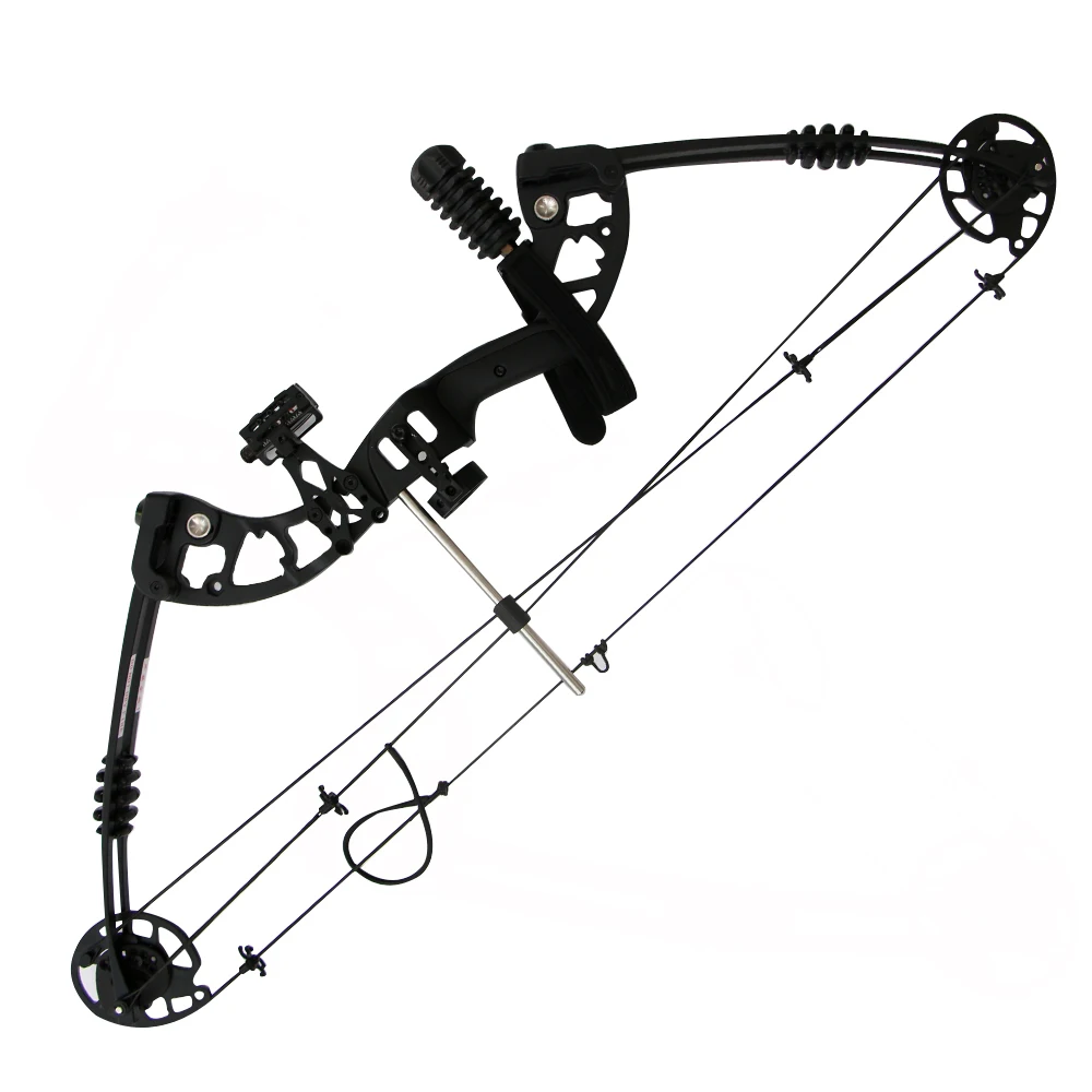 

Whole Set Archery Hunting Compound Bows 30lbs-60lbs Aluminum Compound Bow Black Archery Compound Bow with Accessories