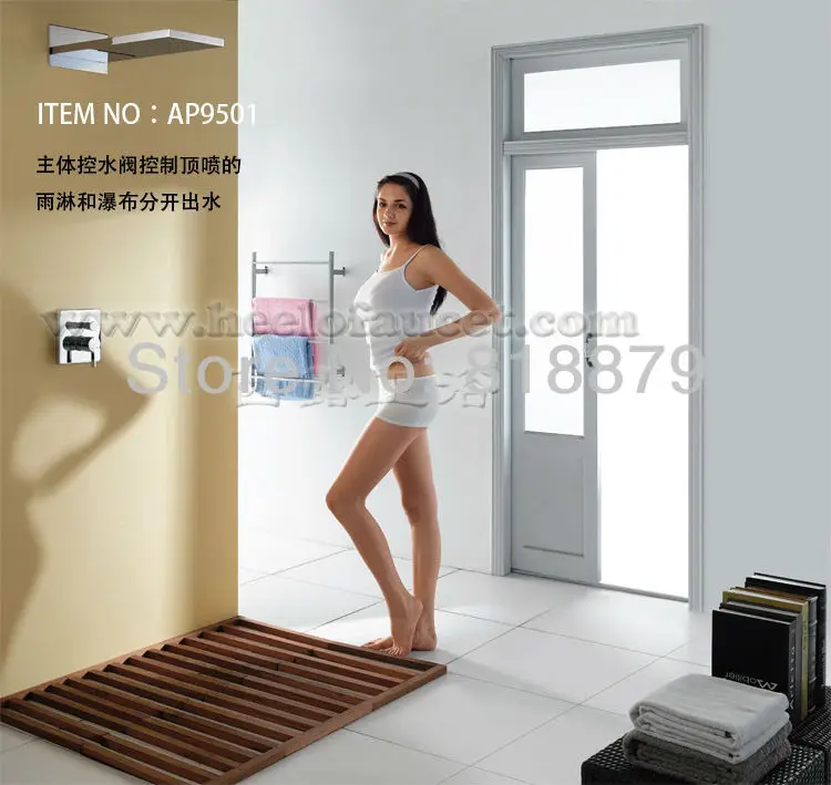 AP9501WEB C
