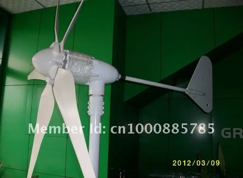600w 22.jpg