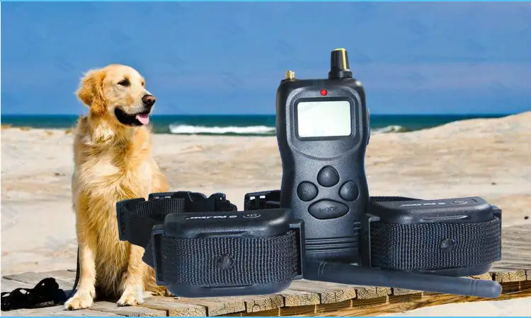 WT759B dog training collar