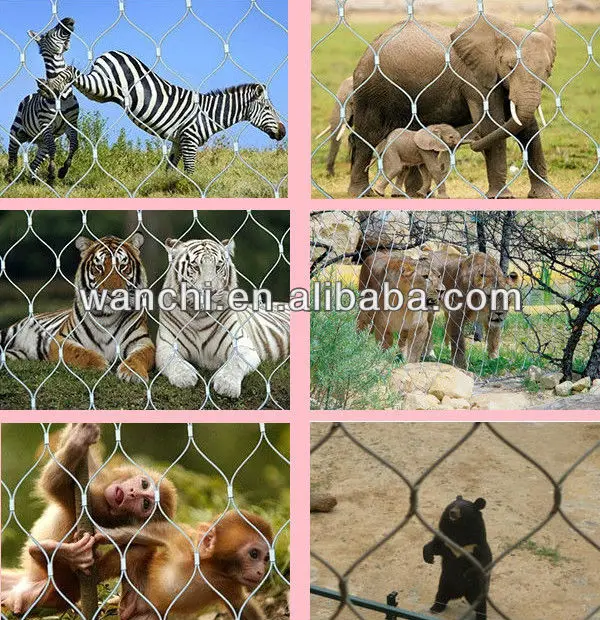 zoo mesh application