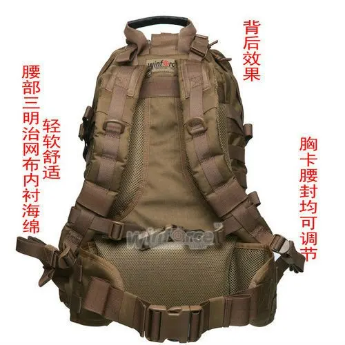 WP-10_2