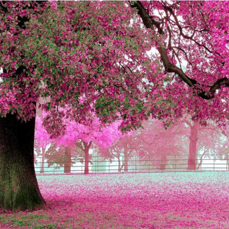  Pohon bunga ungu  3D kertas dinding Cherry Blossom 