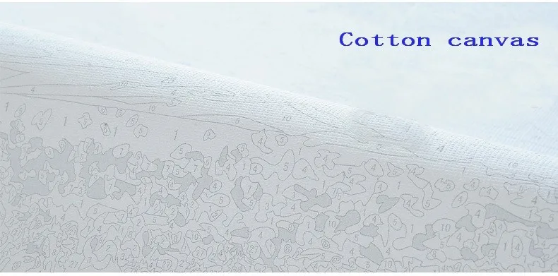 T2NApGXuFXXXXXXXXX_!!737028310