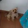 P***a