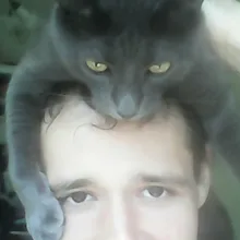 V***h