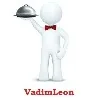 V***n