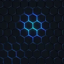 V***v
