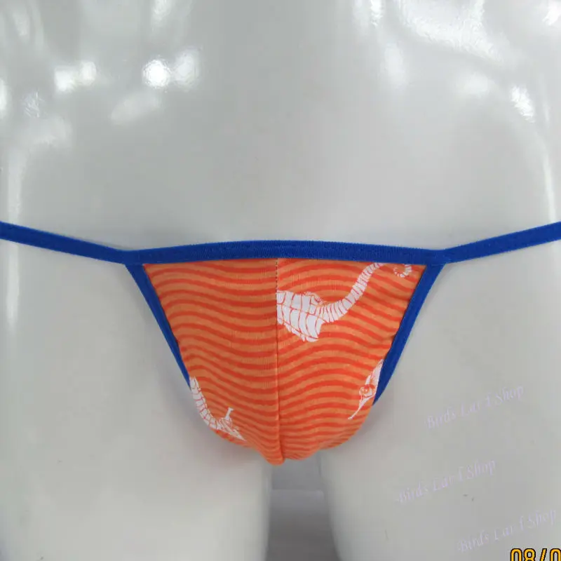 G798C-seahorse-1_new(2)