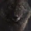 A***a