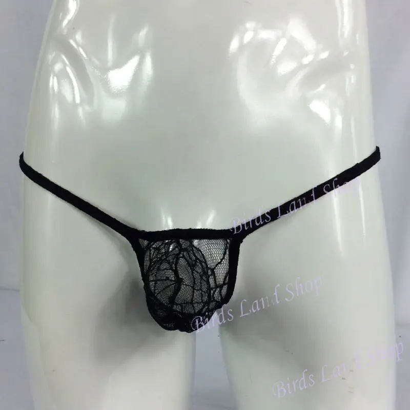 G4039-spider-3_new(2)