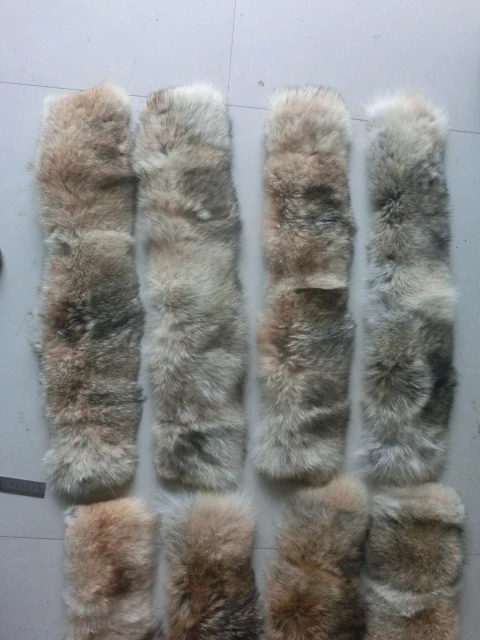 Заводская цена новый продукт Койот меховая кожа для воротника|fur skin|coyote skinskin fur |