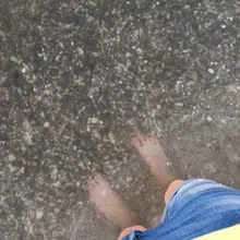 v***v