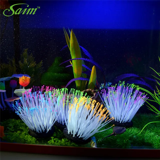 Buy Luminous Fluorescent Coral Soft Colorful
