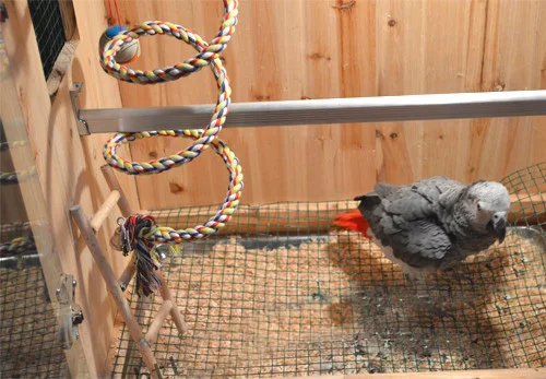 2 метра Тяжелая веревка Катушка окунь качели-белка попугай птица игрушки для больших попугаев