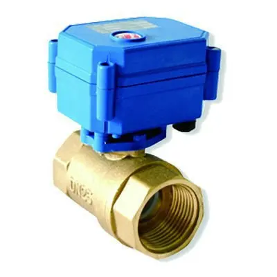 CWX-15Q with 25mm brass valve