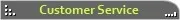 CUSTOMER SERVICE