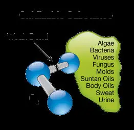 ozone works on