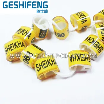 

Hot sale material plastic BELG pigeon foot ring with personal information and cheap price