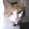 M***a