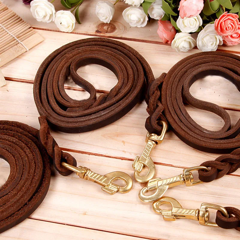 Pet Leather dog leashes Suitable for Small medium and large dogs Free