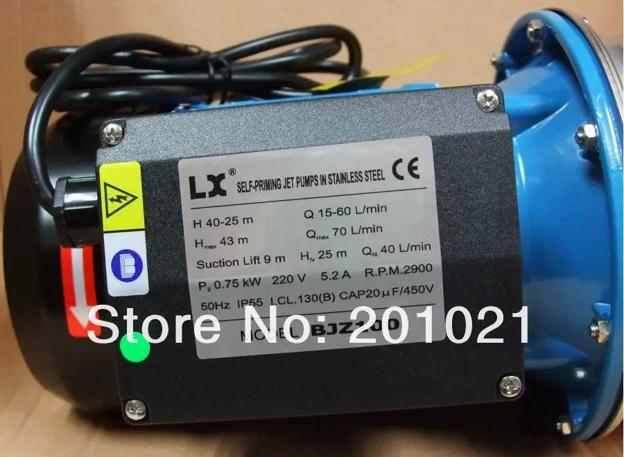 PUMP BJZ100 1206 03 PARAMETER.JPG